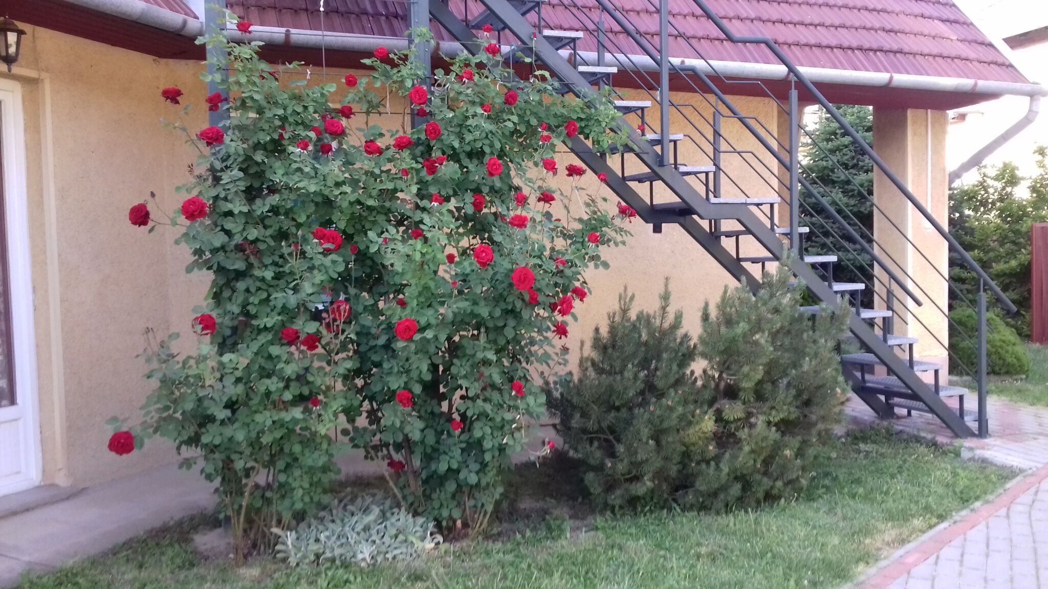 Betekints Apartman – Gyula fotó 3
