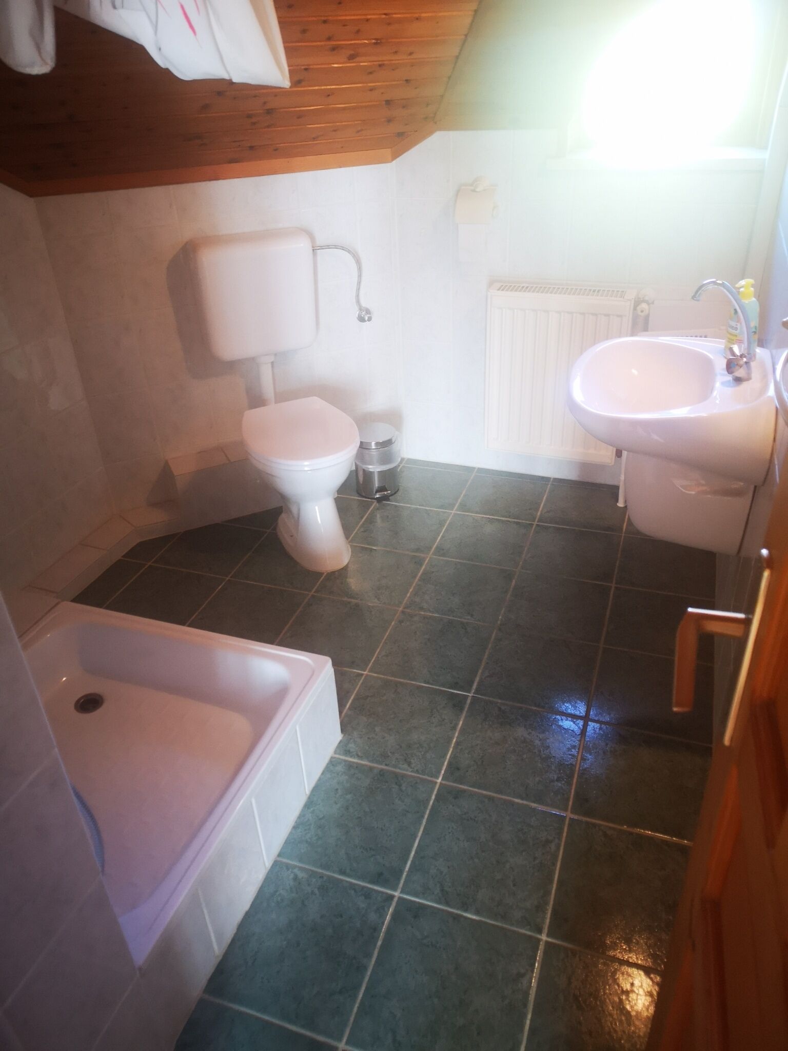 Zöld Sólyom Apartman – Hévíz fotó 4