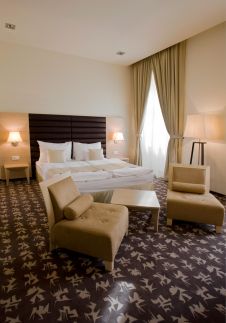 Buda Castle Fashion Hotel Budapest8