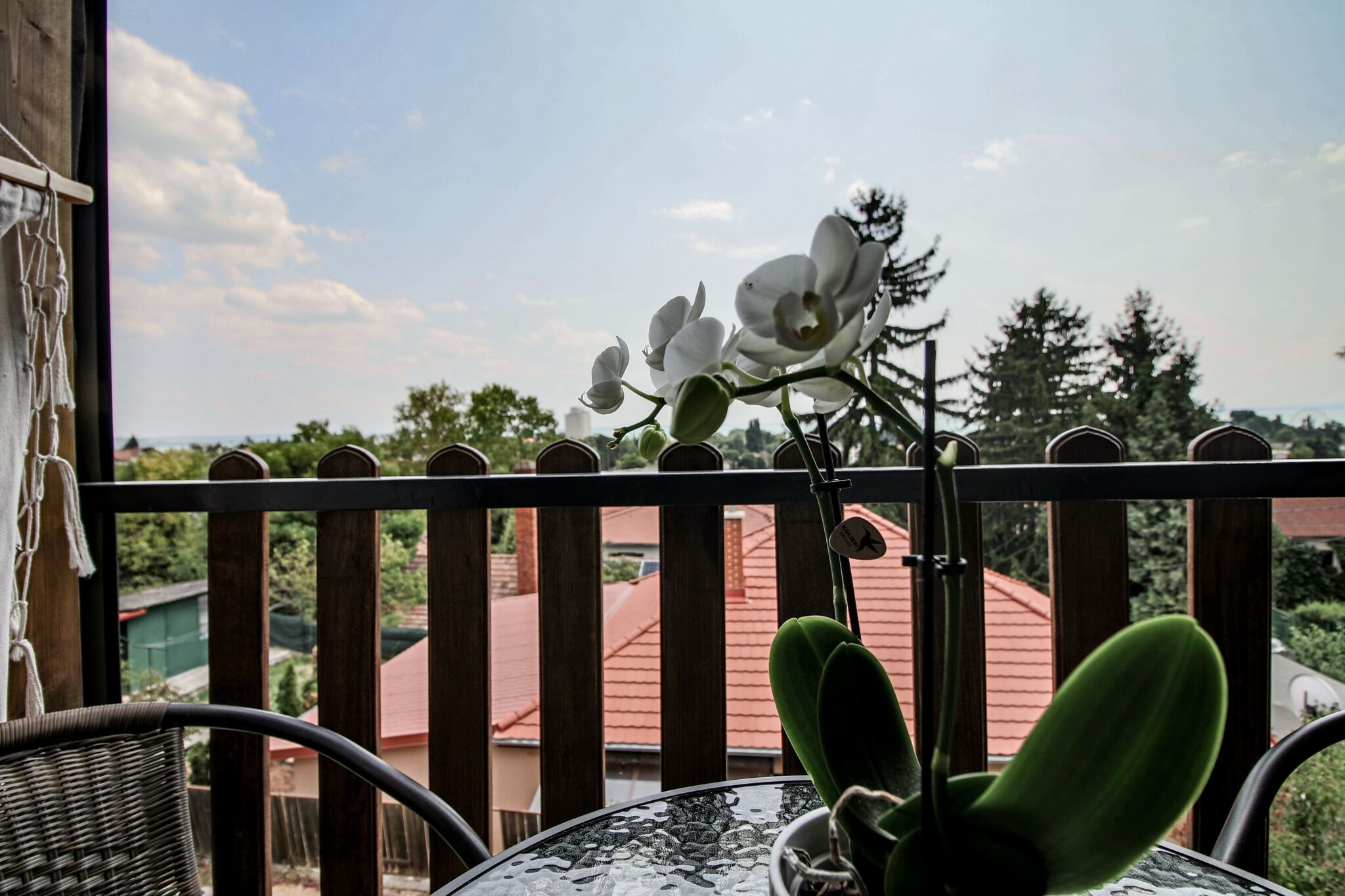 Villa Veronika – Balatonalmádi fotó 5