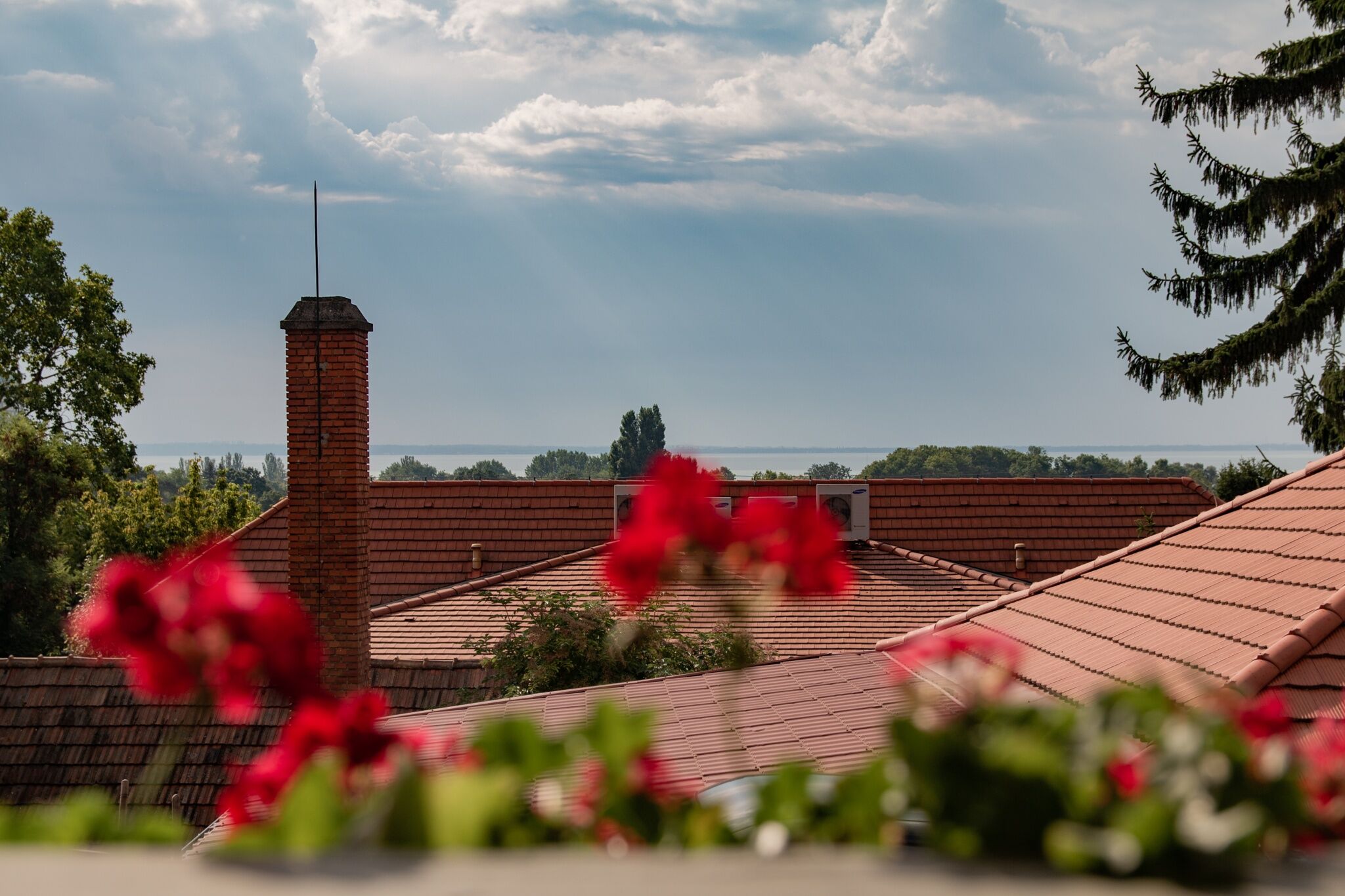 Villa Veronika – Balatonalmádi fotó 6
