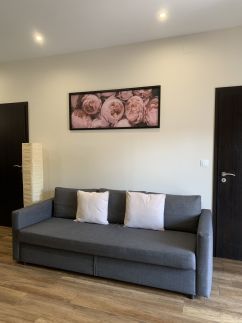 Mia Apartman21