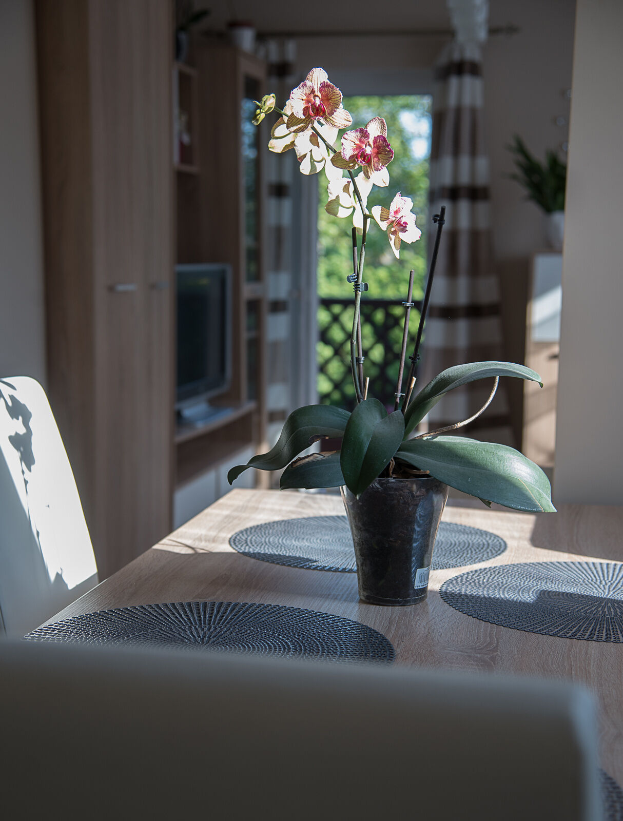 Fekete Orchidea Apartman – Balatonkenese fotó 4