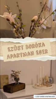 Ezüst Boróka Apartman20