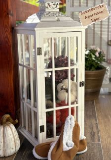 Ezüst Boróka Apartman28