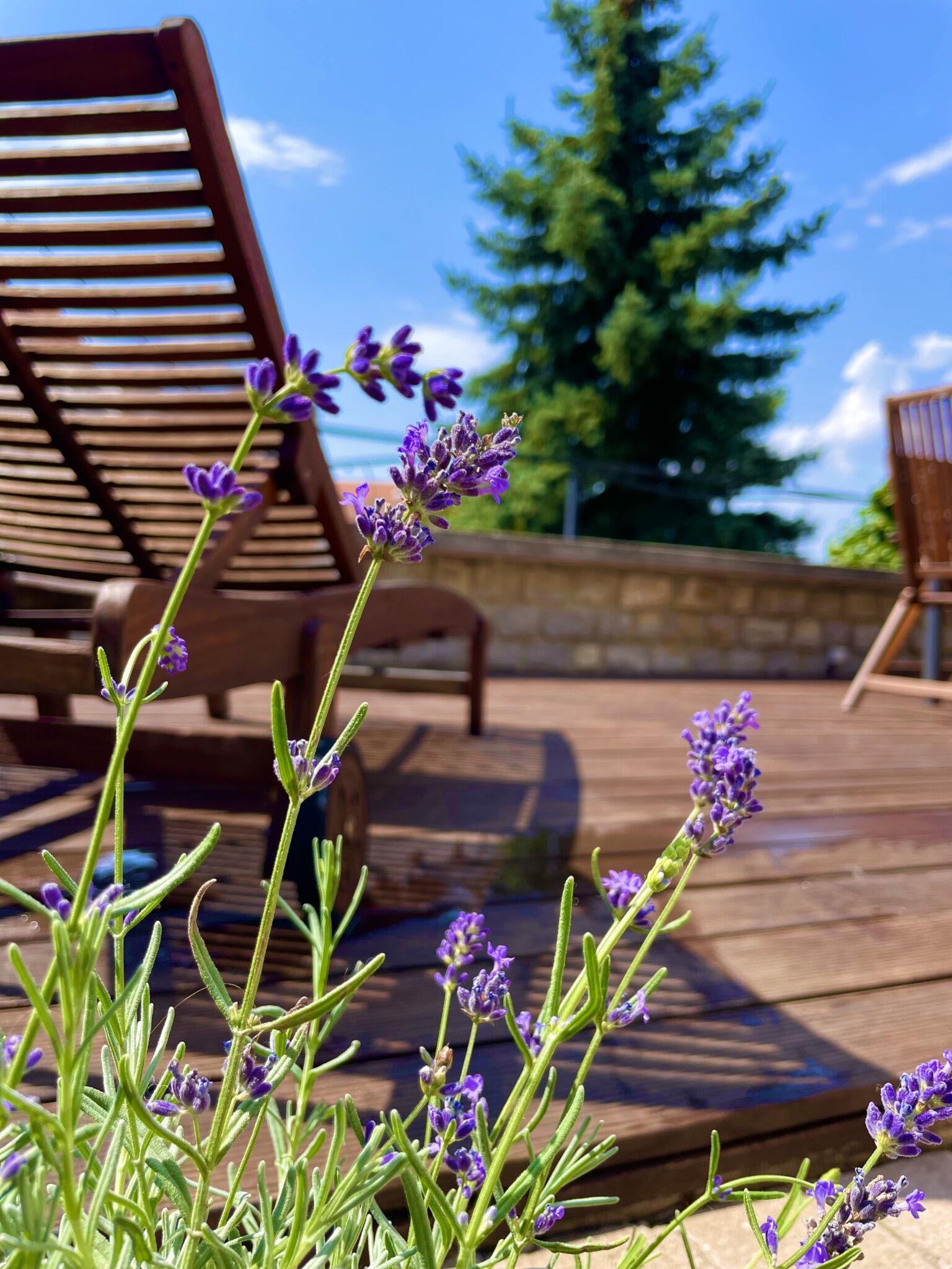Terrace Belvárosi Jacuzzis Apartman – Veszprém fotó 27