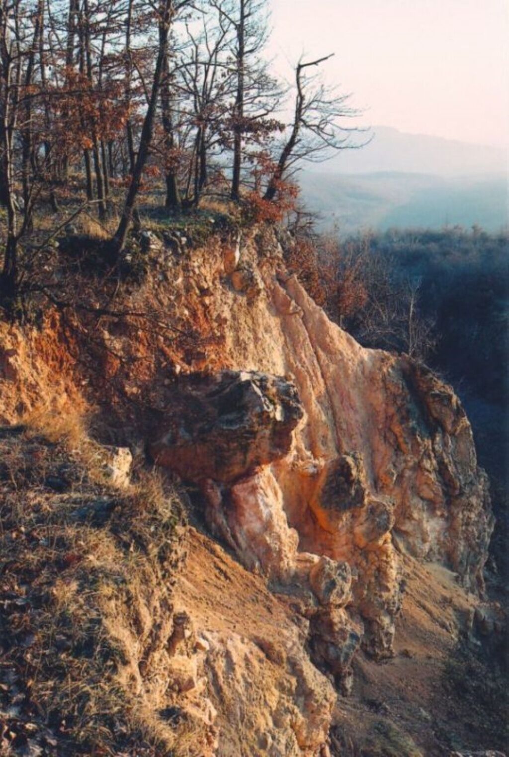 MohApartman – Gyöngyössolymos fotó 9