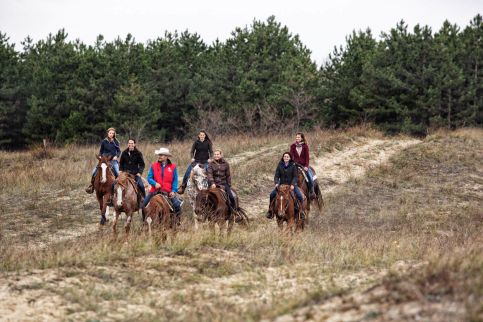 El Bronco Ranch13