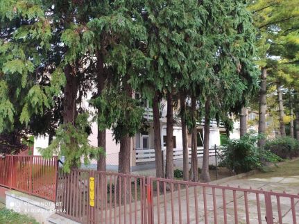 Erdei Apartman6