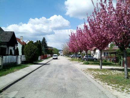 Dinasztia Vendégház109