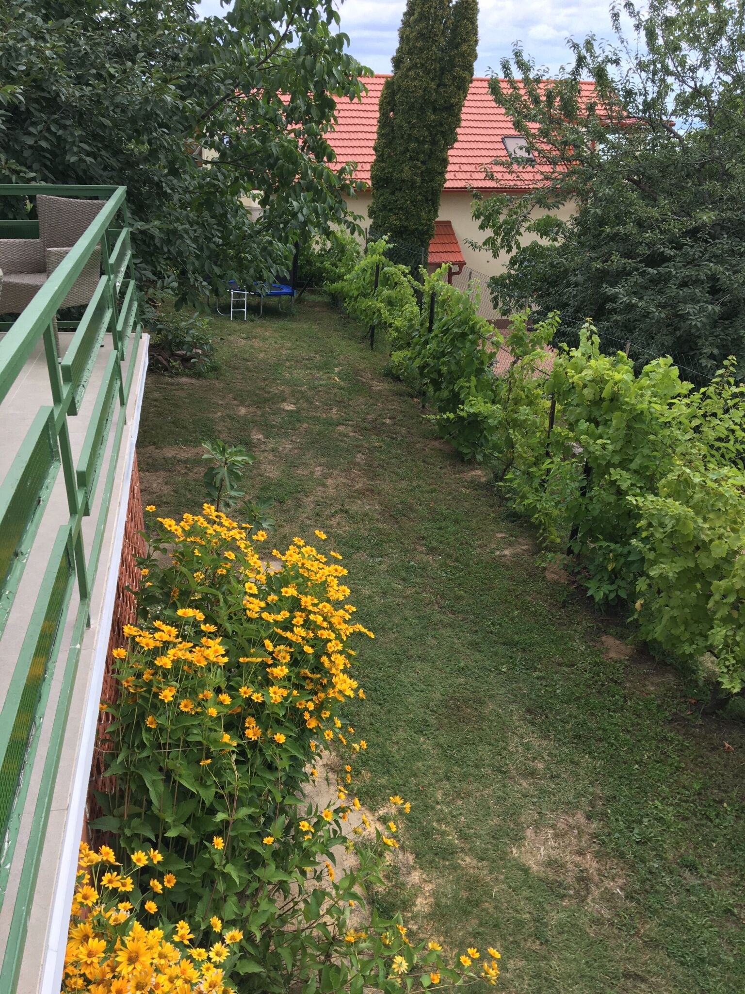 Láblógató Vendégház – Balatonalmádi fotó 11
