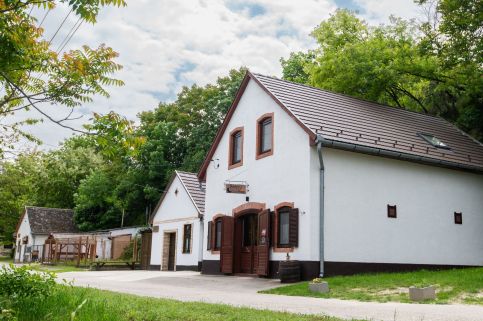 Holdfény Pince2