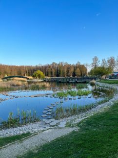 Solaris Apartman33