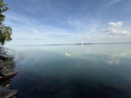 Kertből a Balatonra Vendégház40