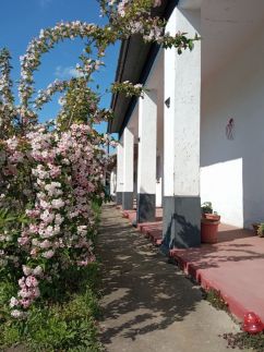 Szelíd Tisza Vendégház – Tiszafüred fotó 18
