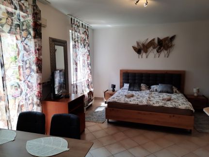 Zöld Béka Gambrinusz II. Apartman4