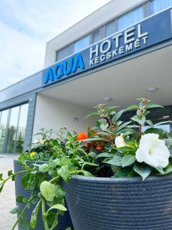 Aqua Hotel22