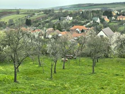 Naplemente Vendégház – Bükkzsérc fotó 55