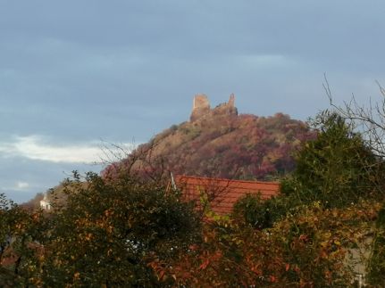 Villa Pedro Vendégház17