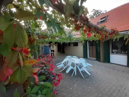 Oliva Verde Apartman5