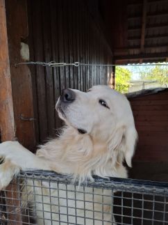 Family Farm Vendégház25