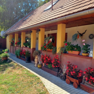 Tulipán Vendégház