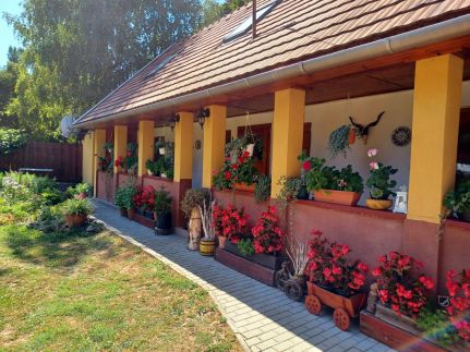 Tulipán Vendégház