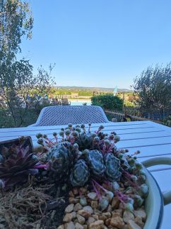 Emese Apartman – Cserszegtomaj fotó 58