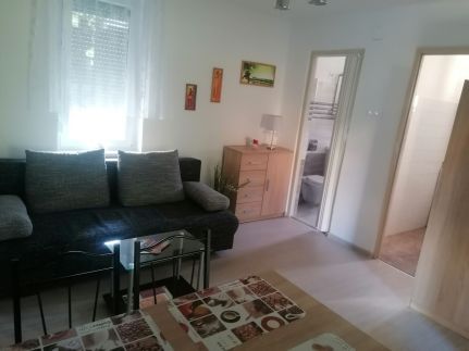 Bamboo Apartman8