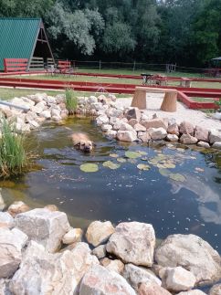 Capitol Apartmanok – Pákozd fotó 52