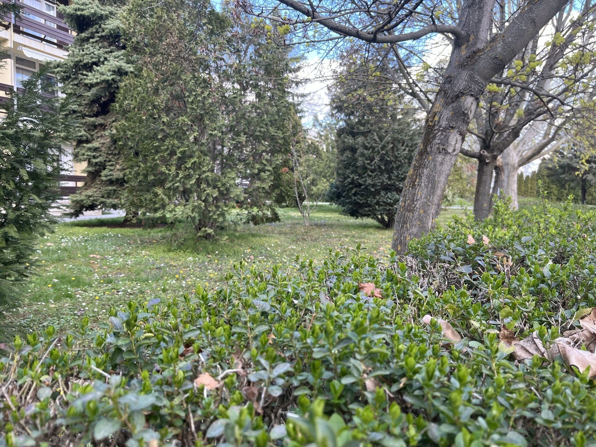 Leila Apartman – Balatonfüred fotó 8