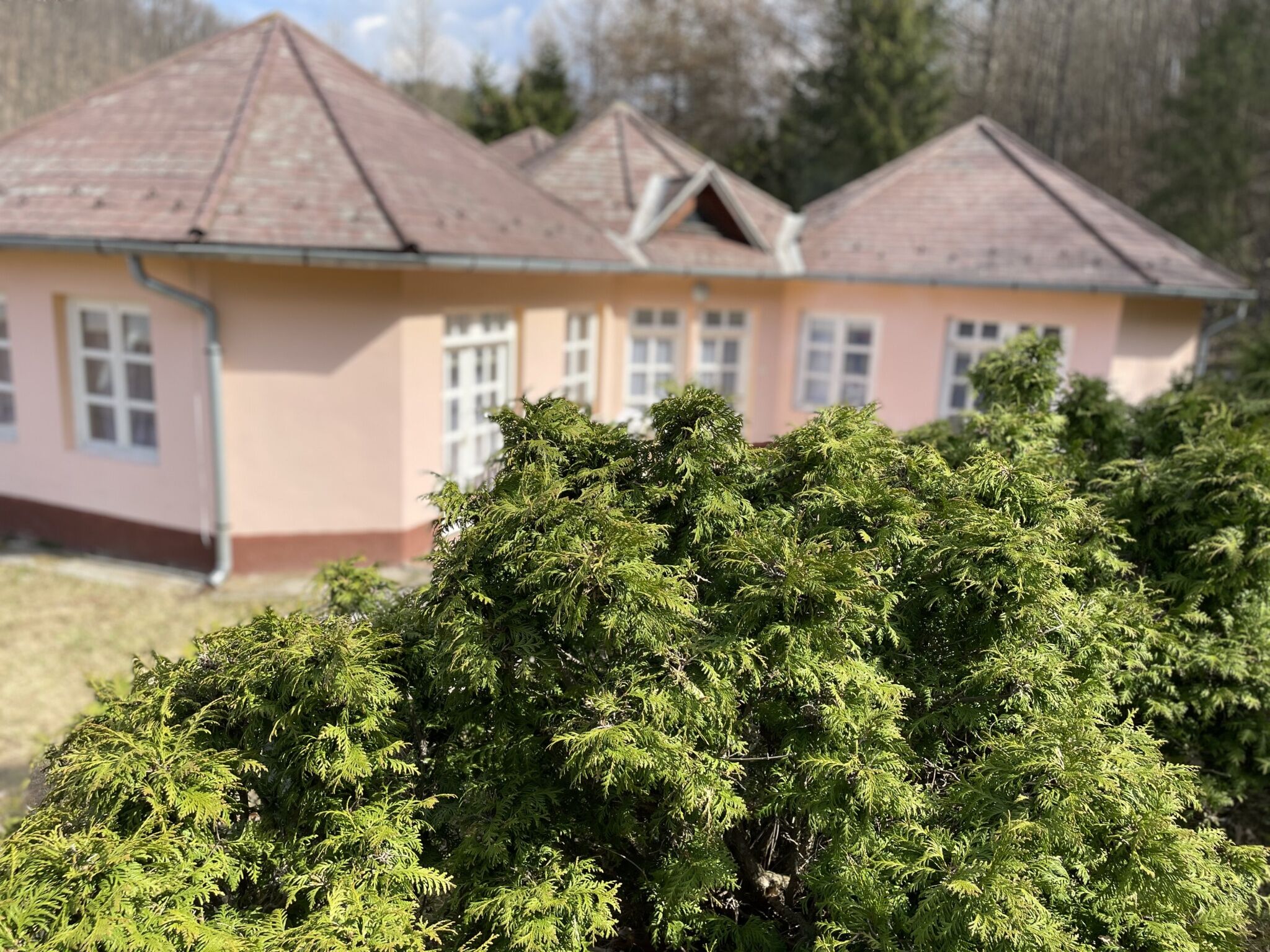 Patakparti Vendégház – Háromhuta fotó 1