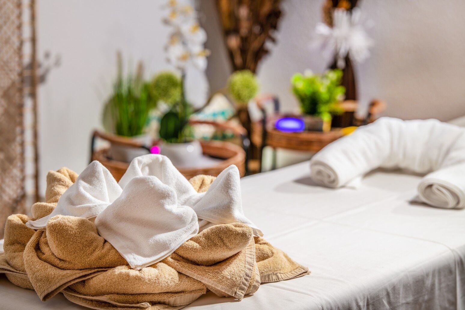 Zsóry Liget Hotel & Spa – Mezőkövesd fotó 12