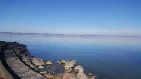 Picur Lak1