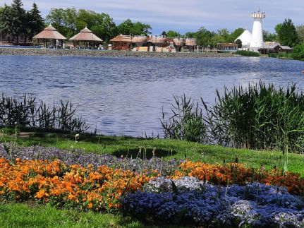 Zöld Béka Sport utcai Apartman I.4