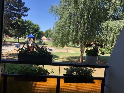 Zezula Apartman10