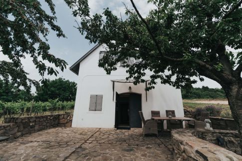 Kőtulipán Vendégház