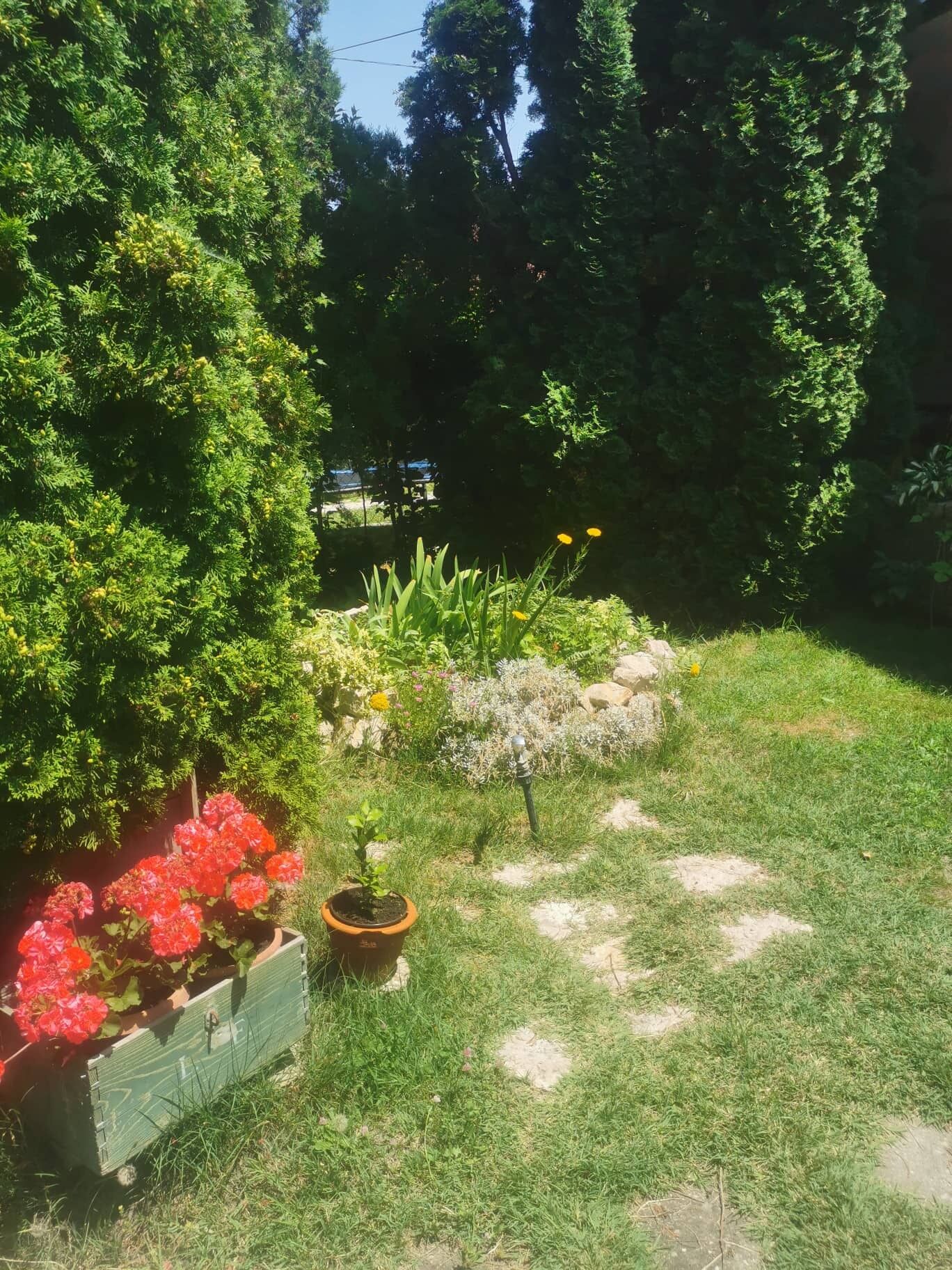 Kaméleon Apartmanház – Balatonszemes fotó 1