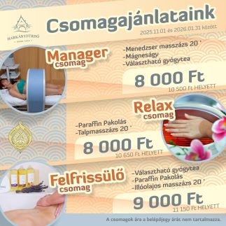 Silent Apartmanház82