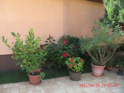 Kristóf Apartman8
