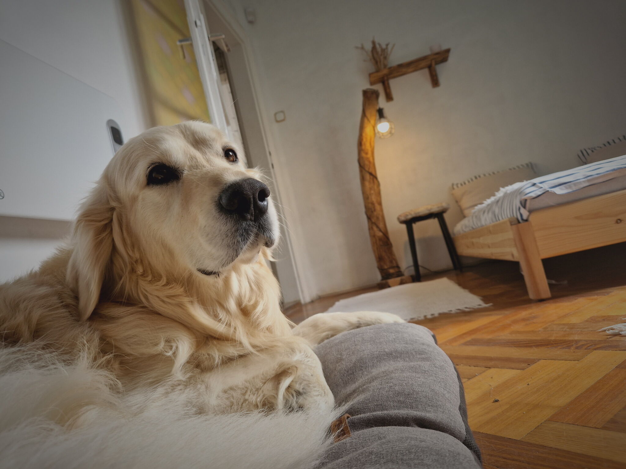 Mountain Home Galyatető – Mátraszentimre fotó 48