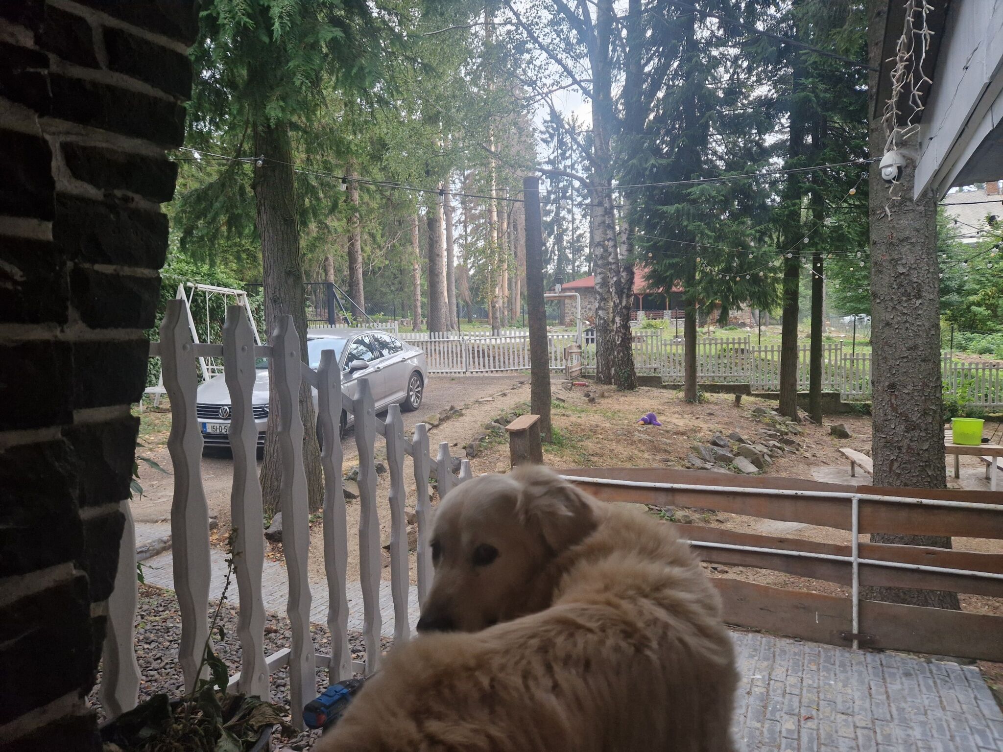 Mountain Home Galyatető – Mátraszentimre fotó 54