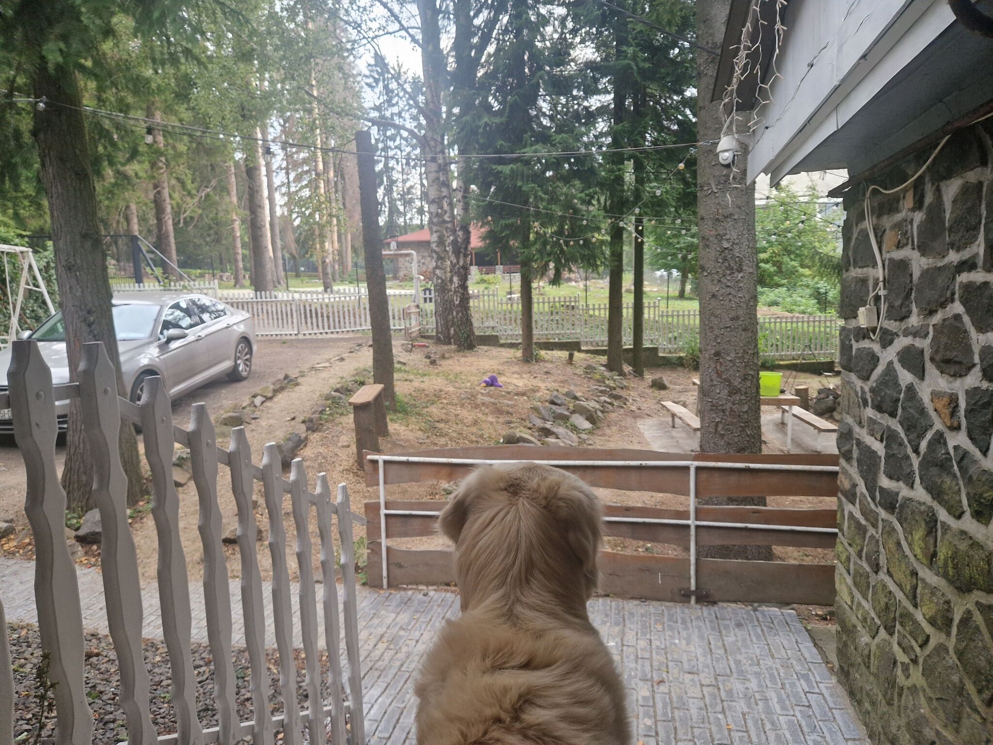 Mountain Home Galyatető – Mátraszentimre fotó 55