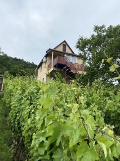 Fehér Szőlő Vendégház19