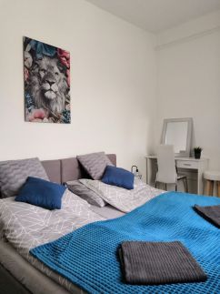 Belvárosi Lux Apartman8