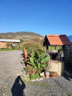 Szalmaegér Vendégház19