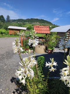 Szalmaegér Vendégház22