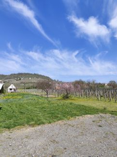 Szalmaegér Vendégház23