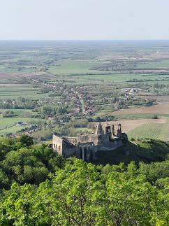 Szalmaegér Vendégház30