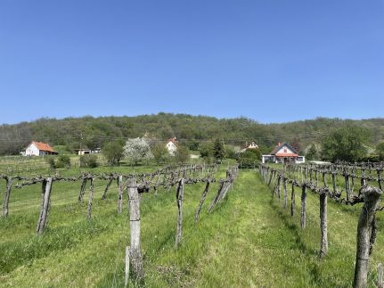 Kisbalázs Vendégház8